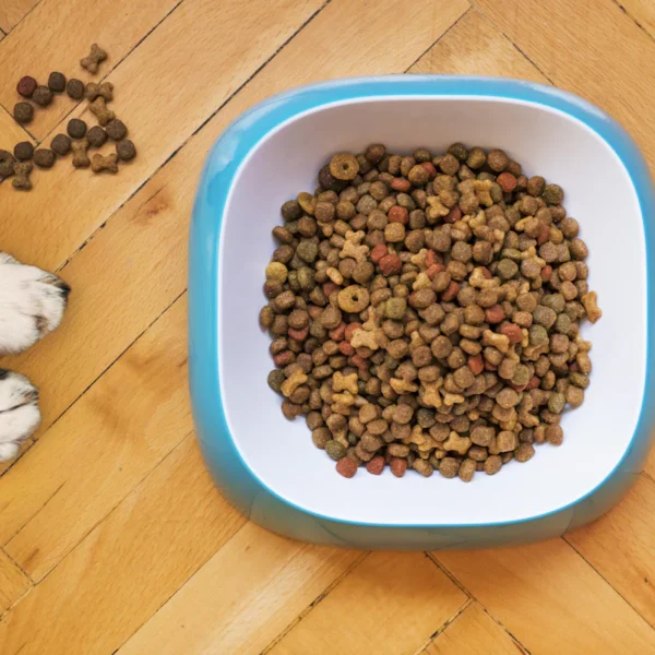 Natural Chicken Dog Treats 16 oz — Pet Supplies at Peasley Store