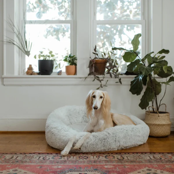 Orthopedic Dog Bed — Medium — Pet Supplies at Peasley Store