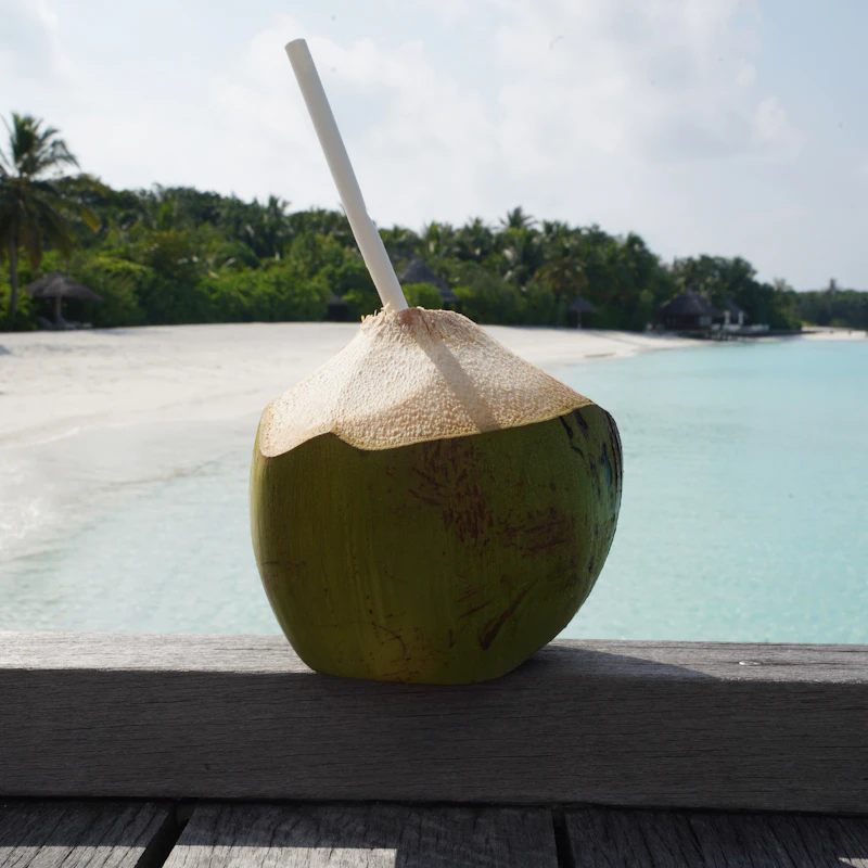 Pure Coconut Water 6-Pack β Beverages at Peasley Store