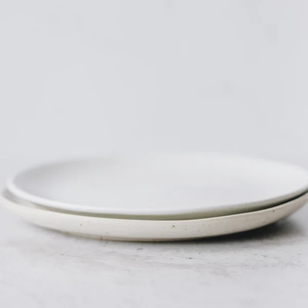 Stoneware Dinner Plate Set of 4 — Home & Kitchen at Peasley Store